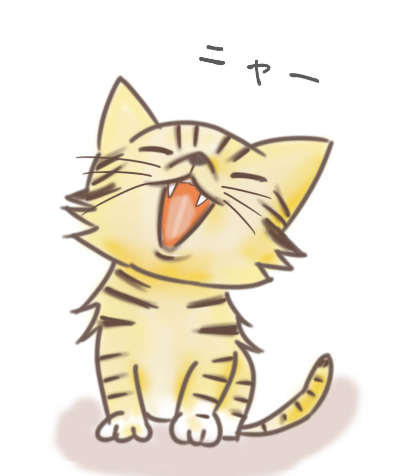 猫の鳴き声「ニャー」と「シャー」 | ねこのごろごろブログ